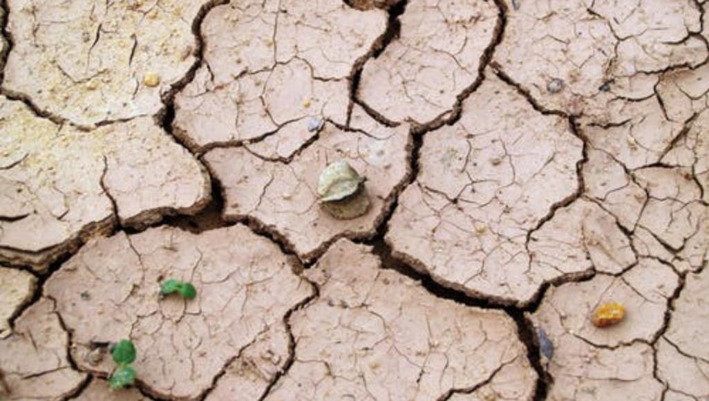 في غضون 30 عاما.. 140 مليون مهاجر بسبب تدهور حالة الأرض